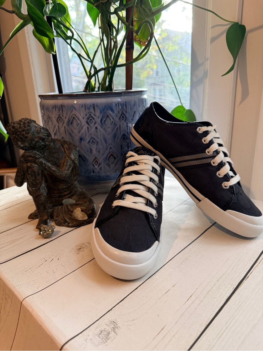 COACH | Black Signature C Canvas Low-Top Sneakers